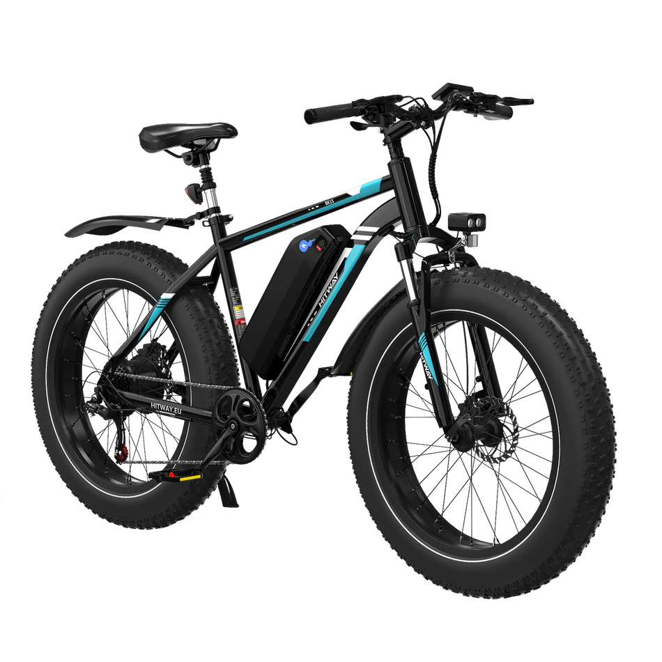 BK15 4.0 elektrische fiets met dikke banden