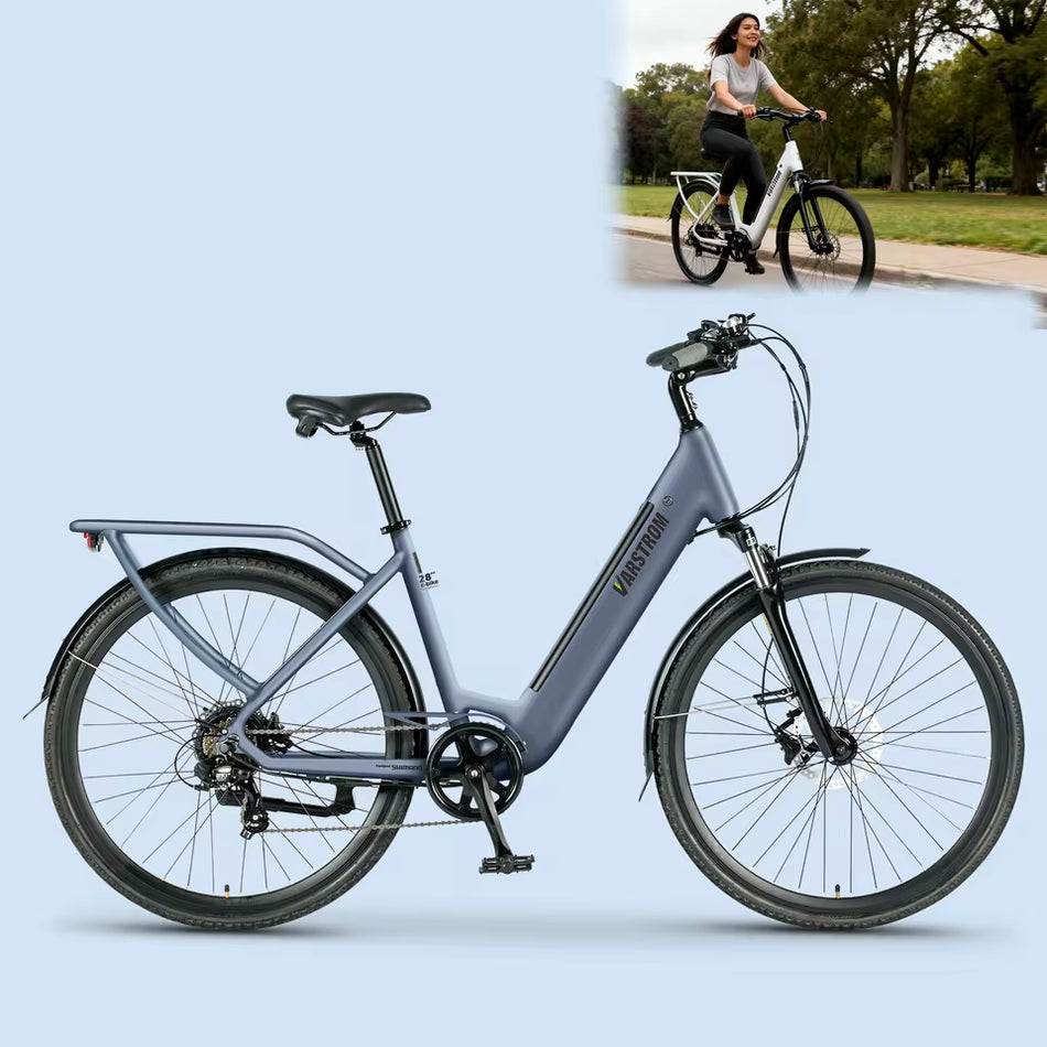 Elektrische Stadsfiets 28 inch – 250W Motor – 43.2V 13Ah Accu – tot 120 km