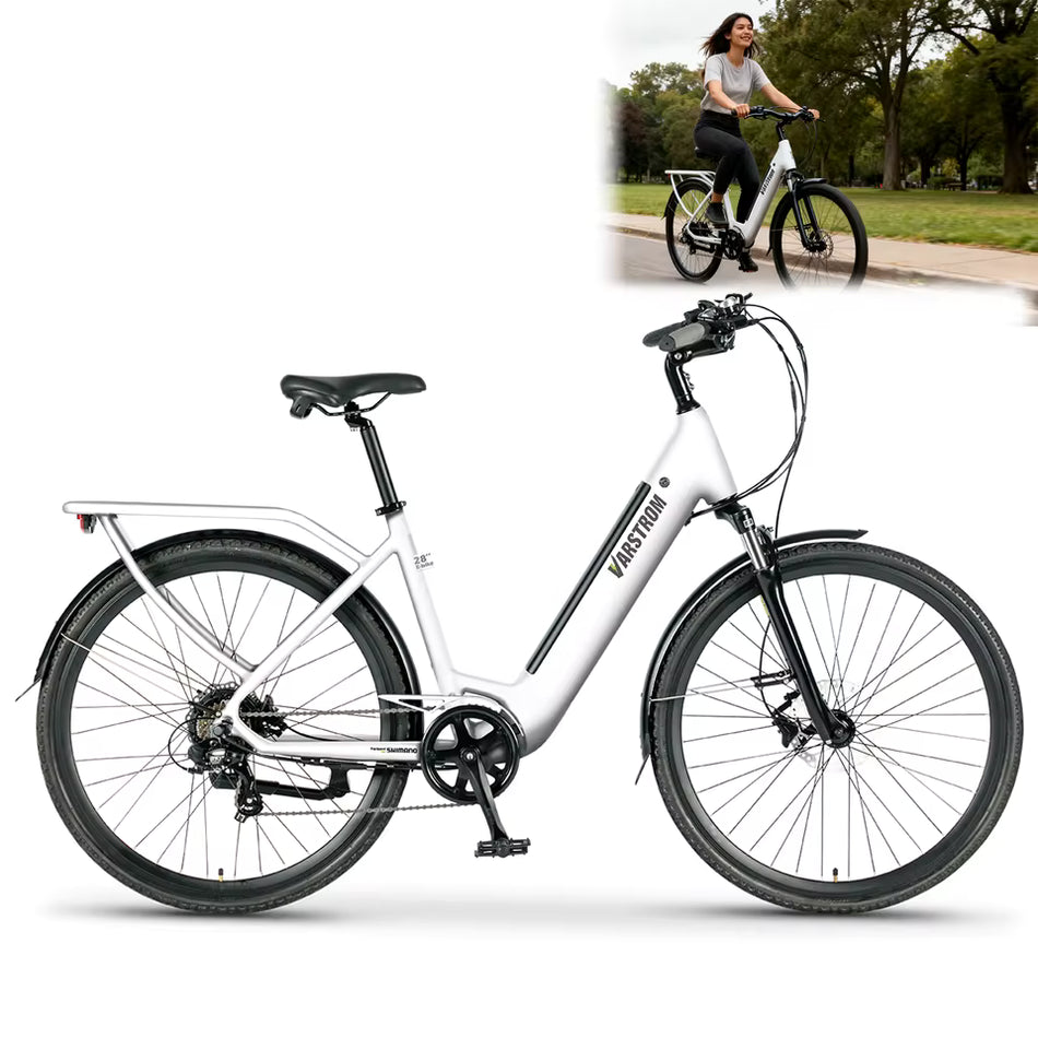 Elektrische Stadsfiets 28 inch – 250W Motor – 43.2V 13Ah Accu – tot 120 km